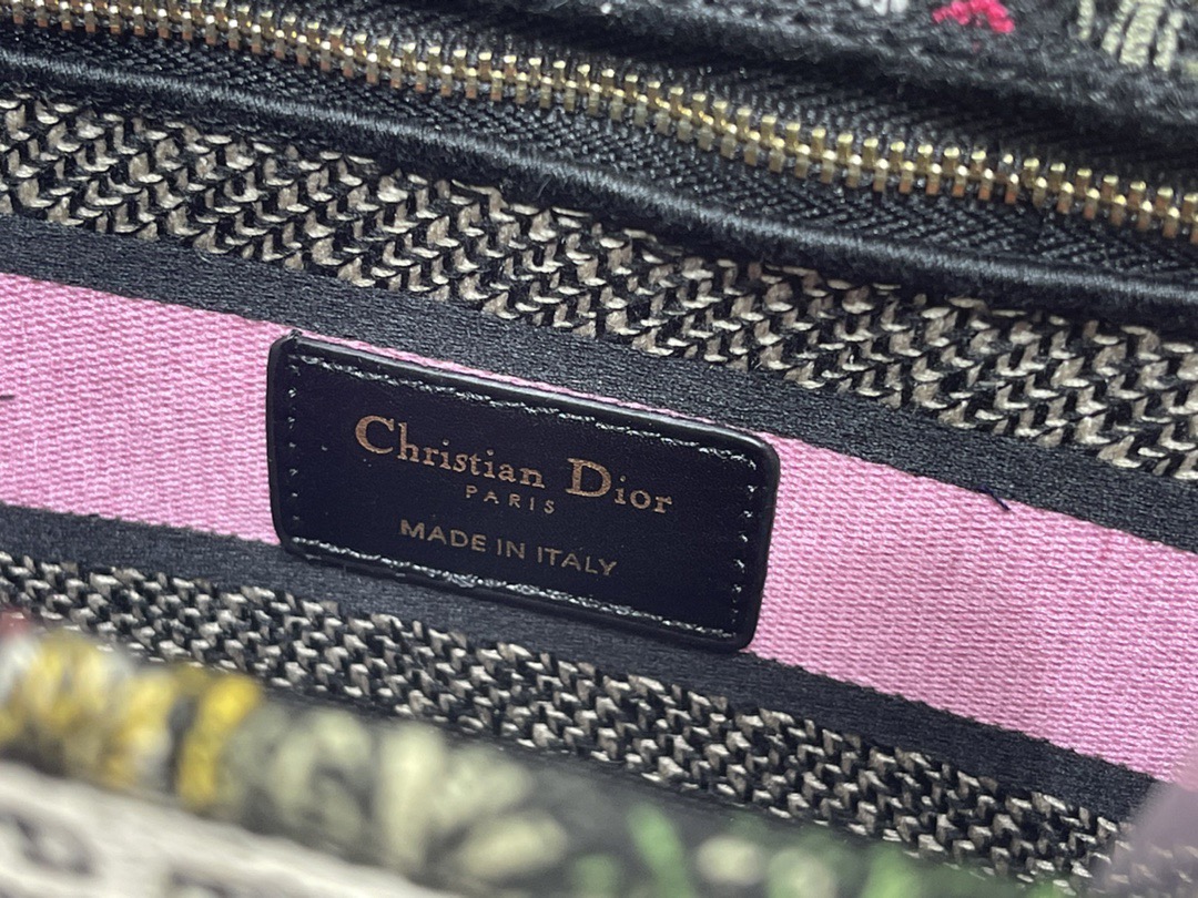 Dior Lady Women Shoulder Bags 24*20*11cm