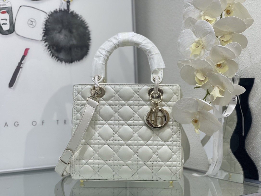 Dior Lady Women Shoulder Bags 24*20*11cm