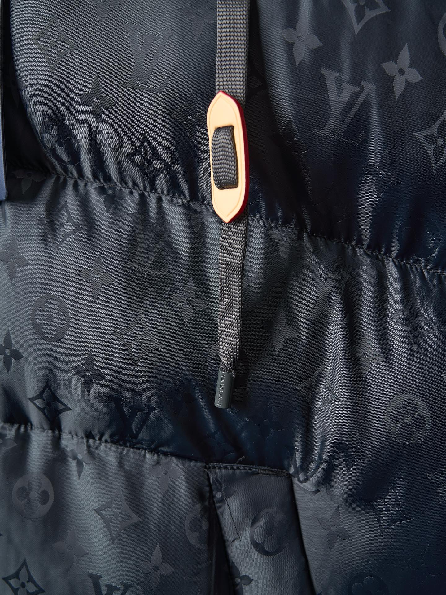 Louis Vuitton SKI 25SS Unisex Winter Jacket Size 46-52