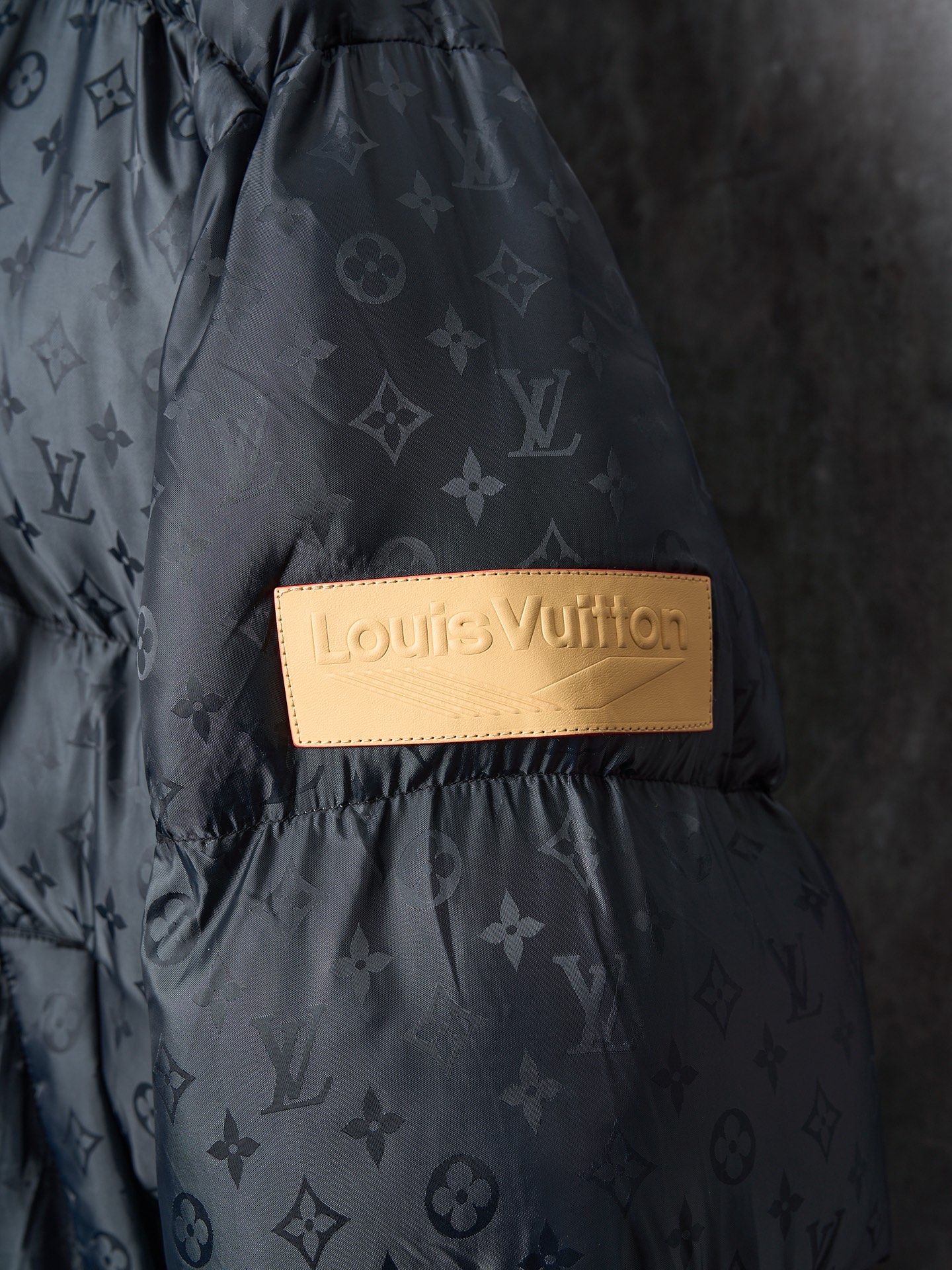 Louis Vuitton SKI 25SS Unisex Winter Jacket Size 46-52