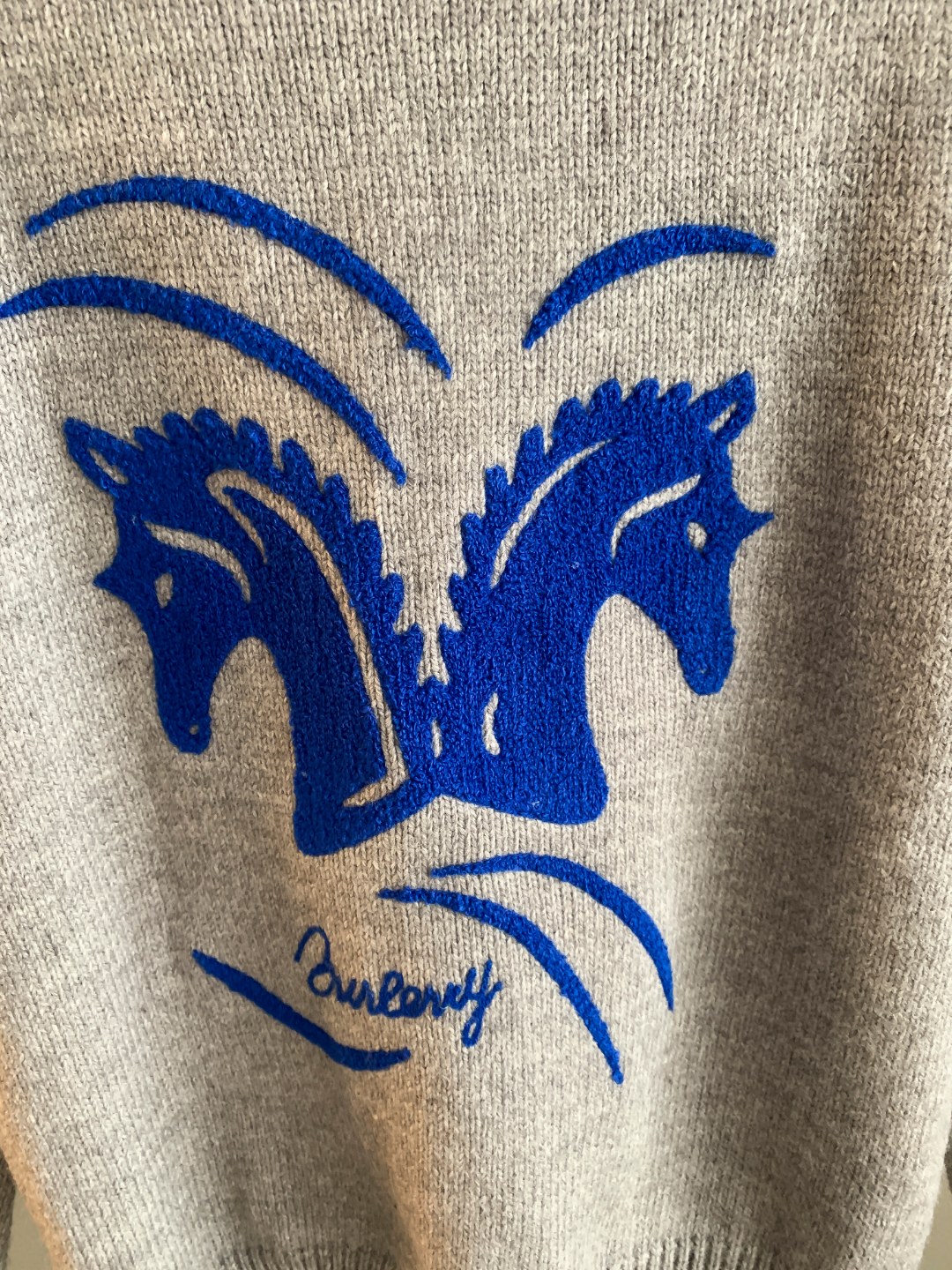 Burberry Unisex Sweatshirt Size S-XXL