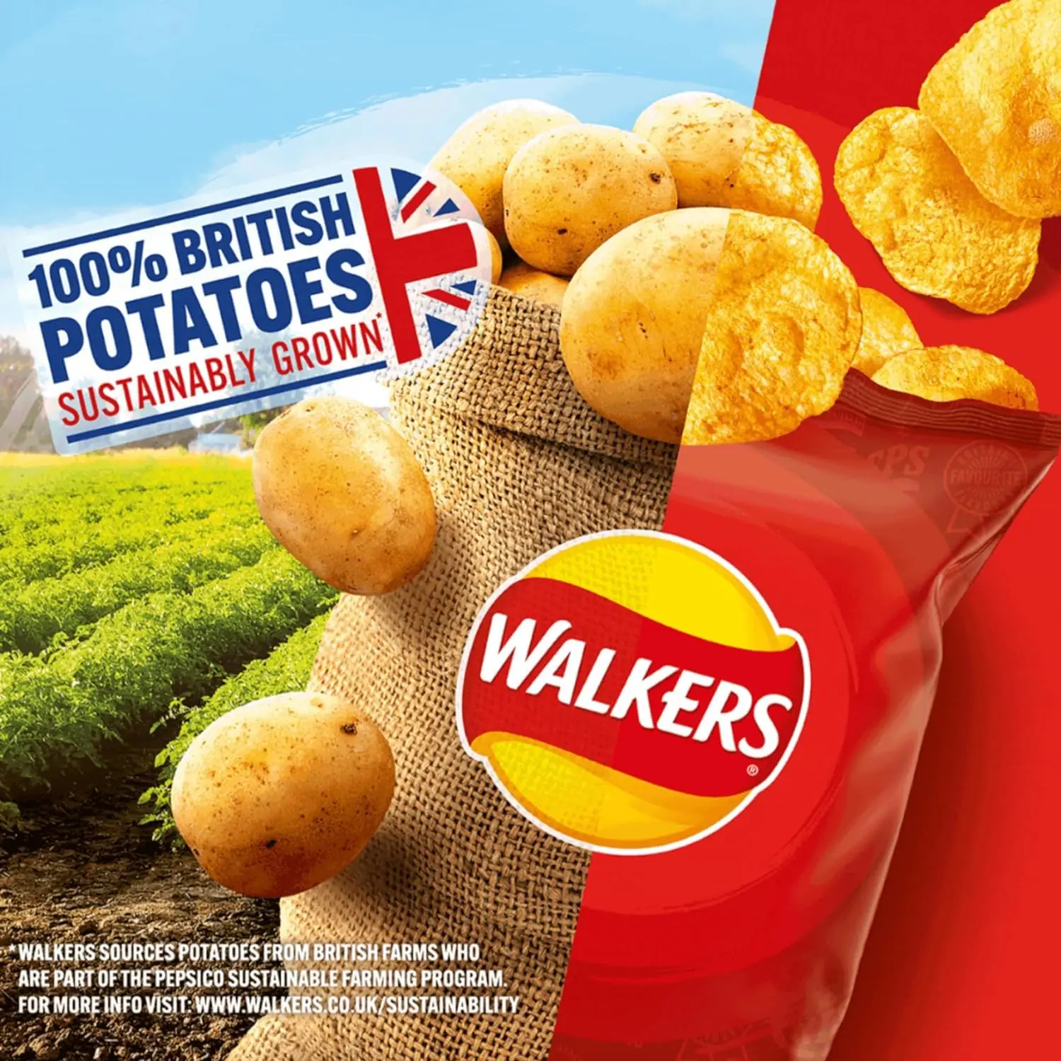 Walkers Crisps Variety Snack Box  - 66 x 25g