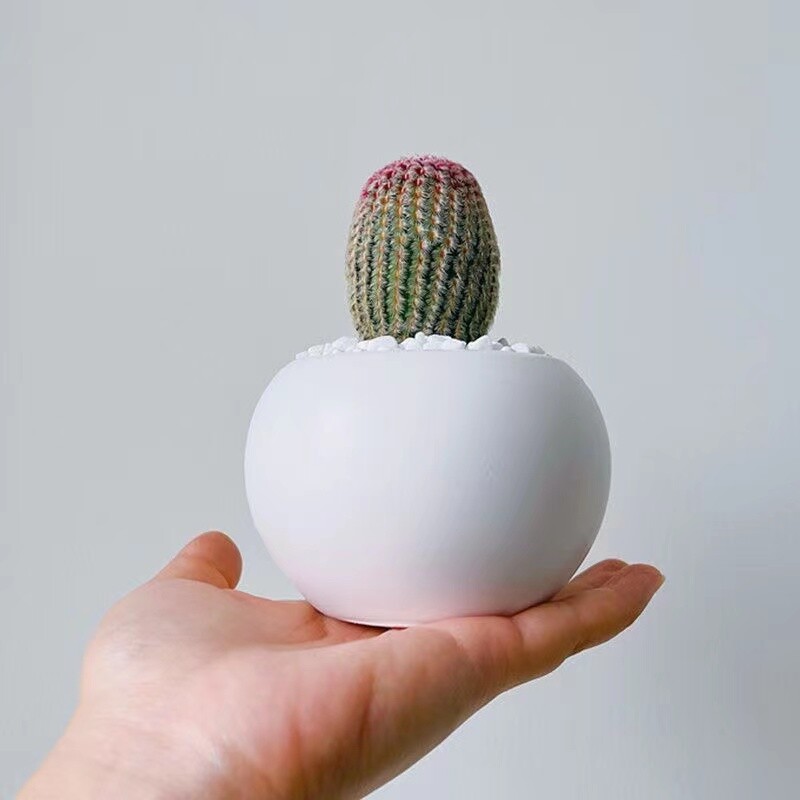 6cm 3PCS Cactus Live Plants Echinocereus Rigidissimus Rubispinus Beautiful Rare Garden Cactus