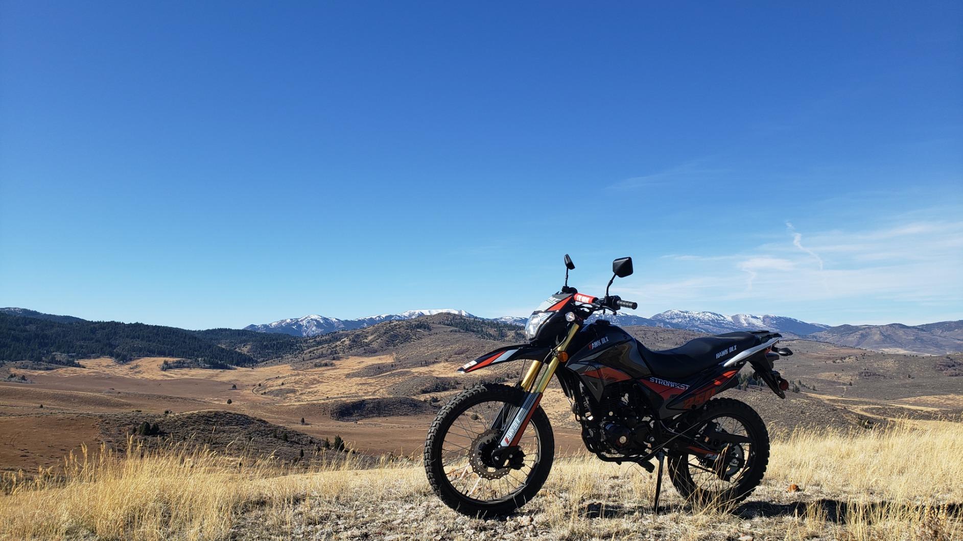 【Sports&Outdoors】X-PRO Hawk DLX 250 EFI Fuel Injection Hawk Deluxe Dirt Bike Street Bike Motorcycle