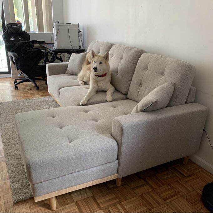 Cash on delivery (pay when the goods arrive)