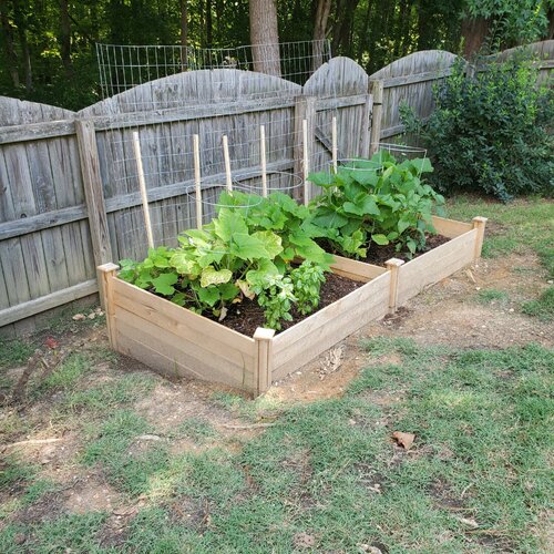 【Home&Garden】12x4 ft Cedar Raised Garden
