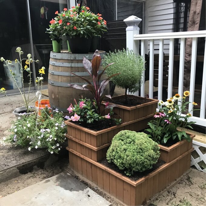 【Home&Garden】Gordonsville 2.5x2.5 ft Wood Raised Garden Bed