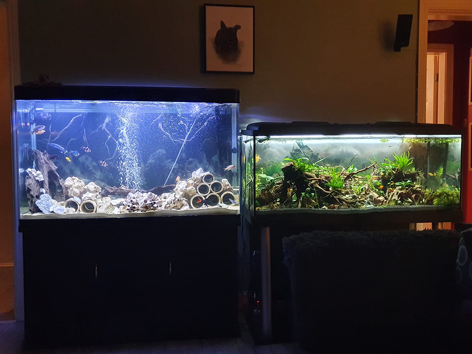 【Pet】AQUARIUM WITH LID & STAND / CABINET Professional Fish Tank - Real Original Guardian Glass