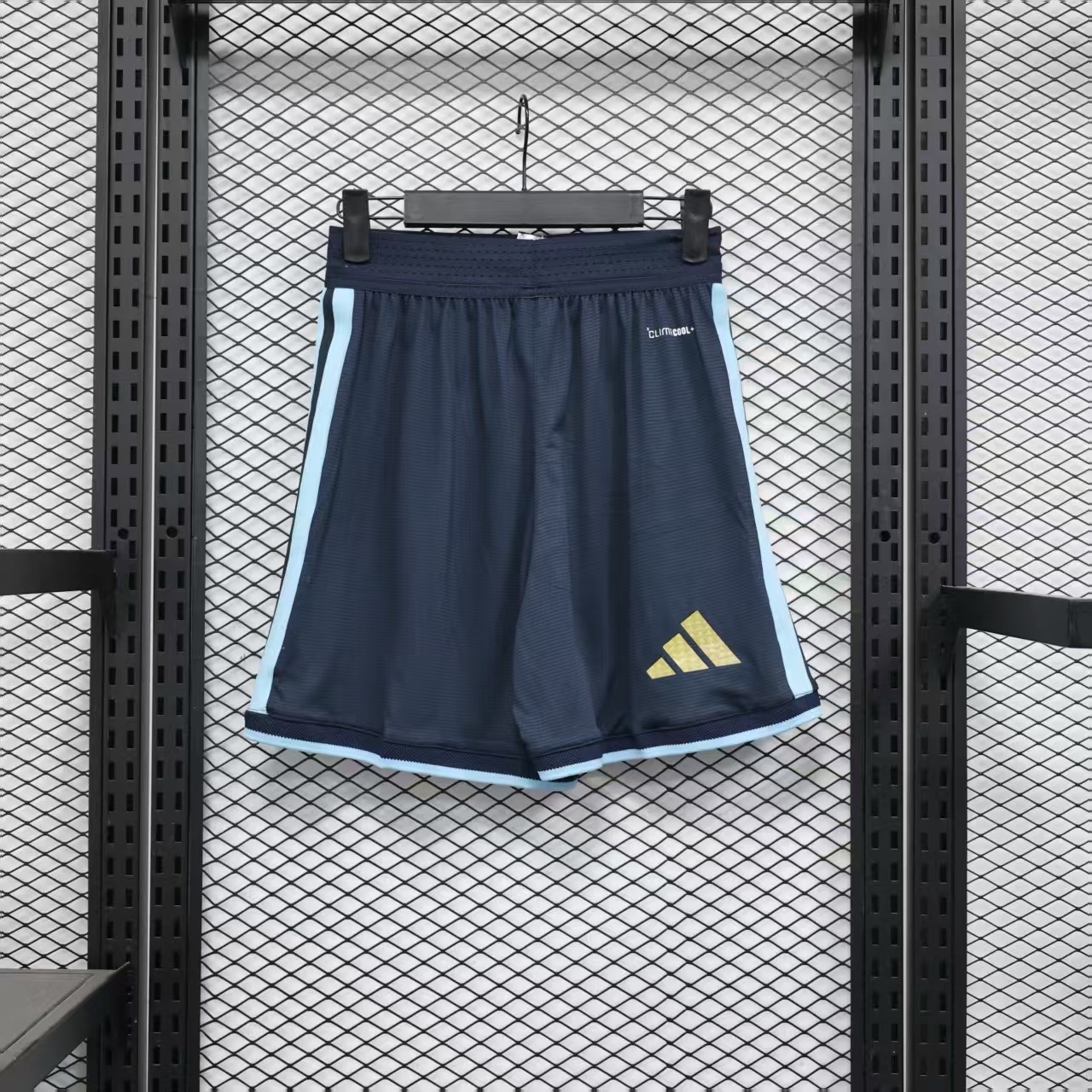Argentina 25/26 player version shorts