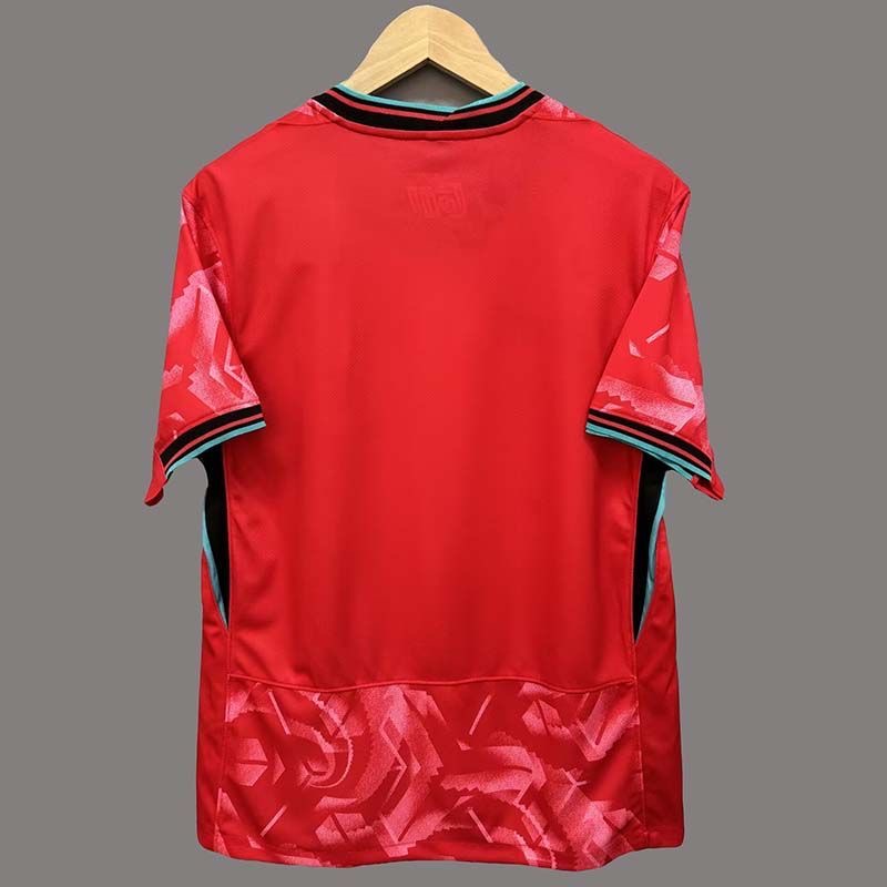 South Korea National Team Jersey 2024/25 Away