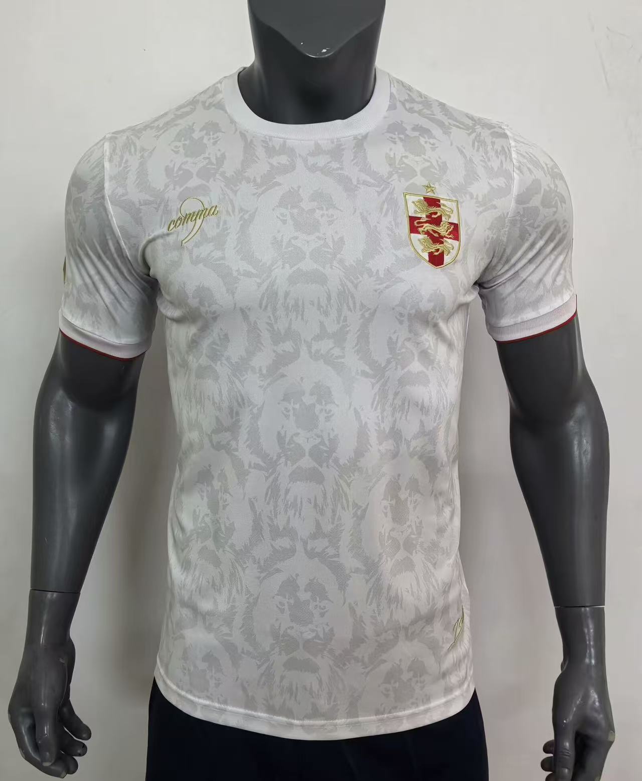 England 2024 Special Edition Man Jersey